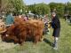 thumbnail 122 --7272.jpg